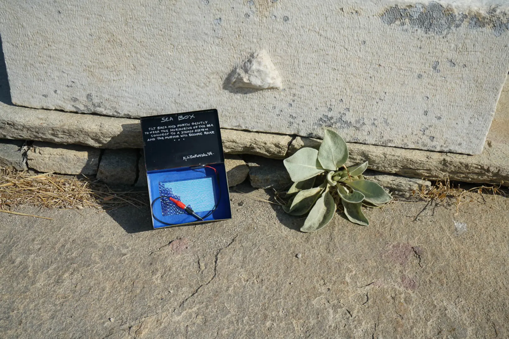 Sea Box