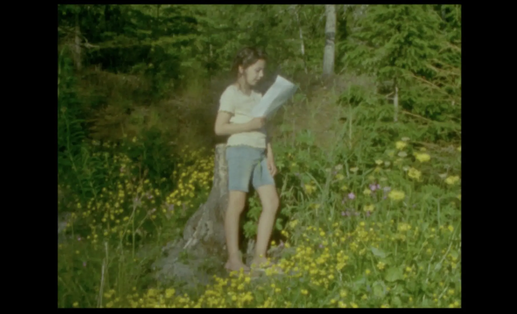 The Silent Garden
