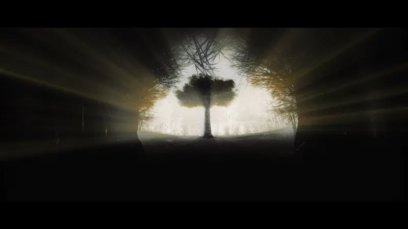 The Tree of Numbers