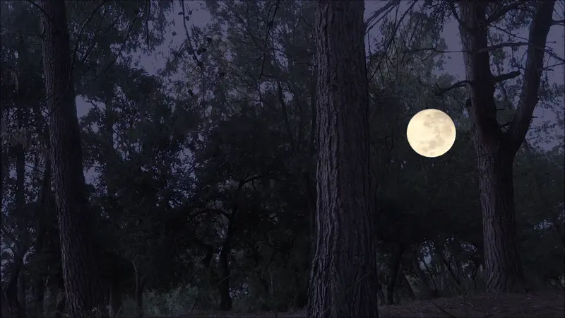 When I was the moon
