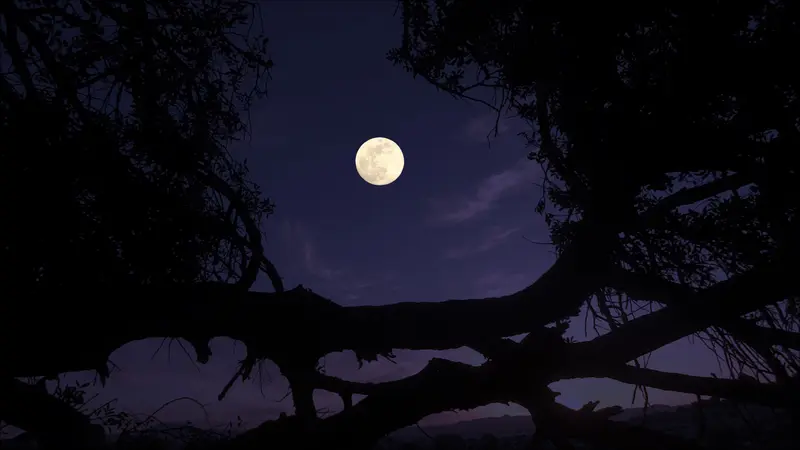 When I was the moon