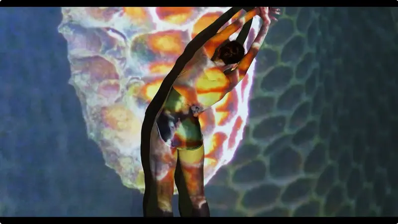 Wild Hive 8