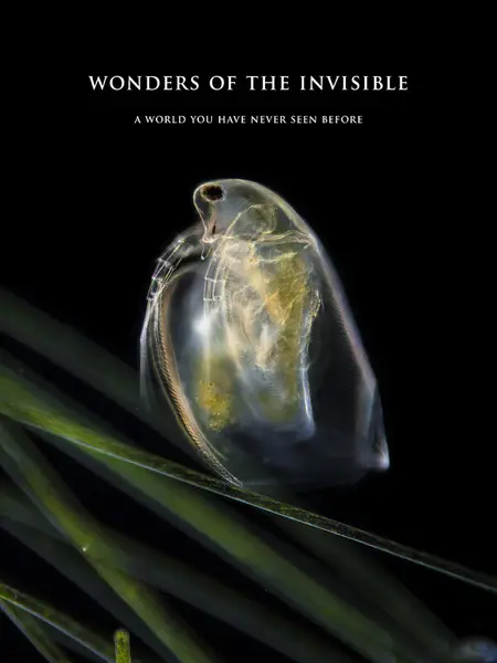 Wonders of the invisible. A world you have never seen before