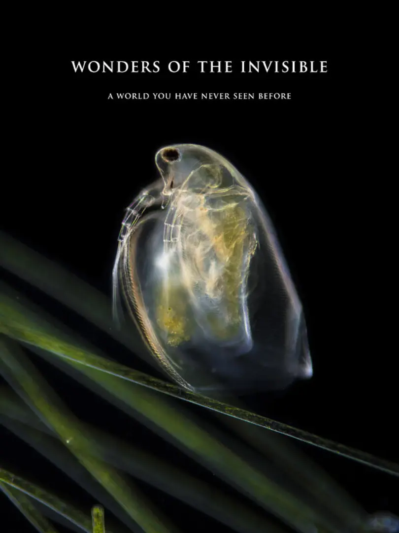 Wonders of the invisible. A world you have never seen before