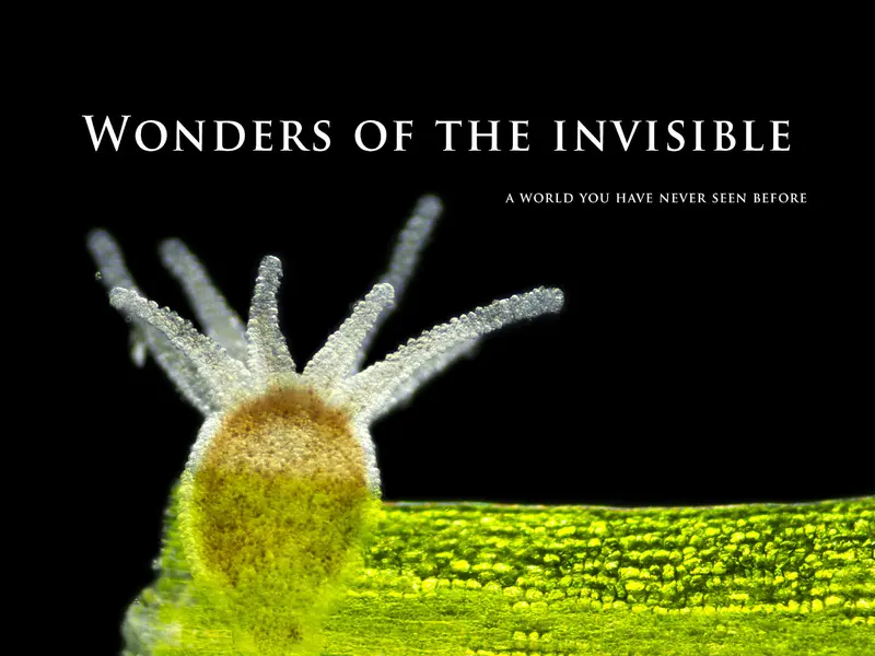 Wonders of the invisible. A world you have never seen before